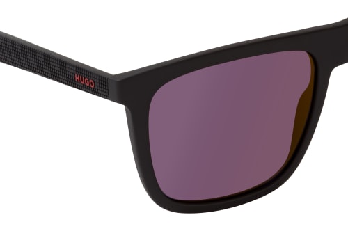 Hugo Boss HG 1304/S 807