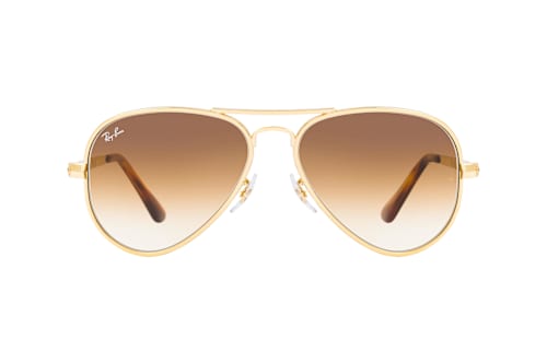 Ray-Ban RB 3925 001/51