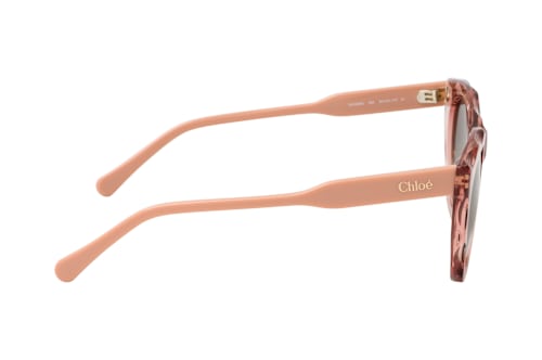 Chloé CH 0295S 004