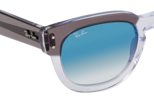 Ray-Ban 0RB0298S 13553F