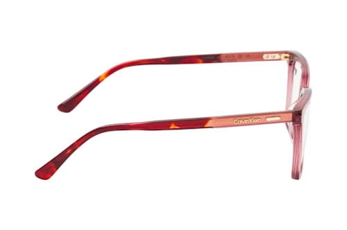 Calvin Klein CK 26536 601