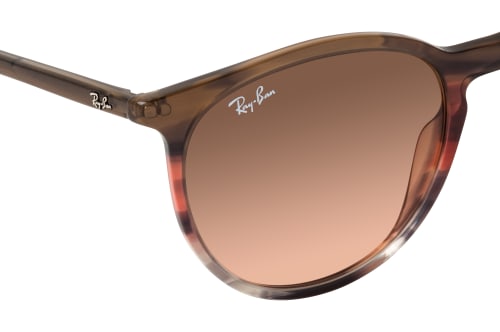 Ray-Ban 0RB2204 13953B