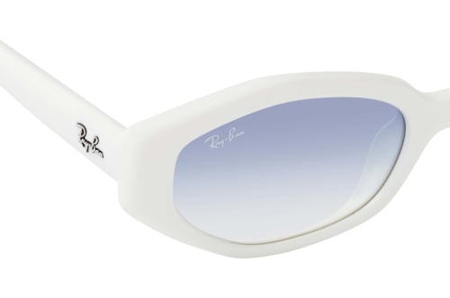 Ray-Ban RB 4473D 677219