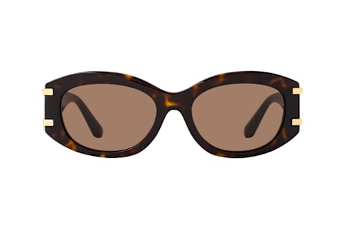 Dolce&Gabbana DG 4502 502/73