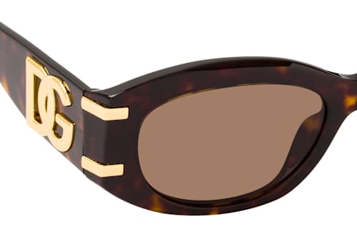 Dolce&Gabbana DG 4502 502/73