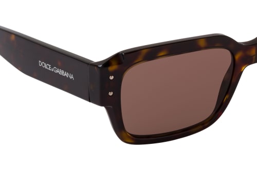 Dolce&Gabbana DG 4460 502/73