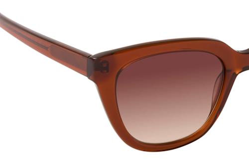 share x Mister Spex Ziniare I31