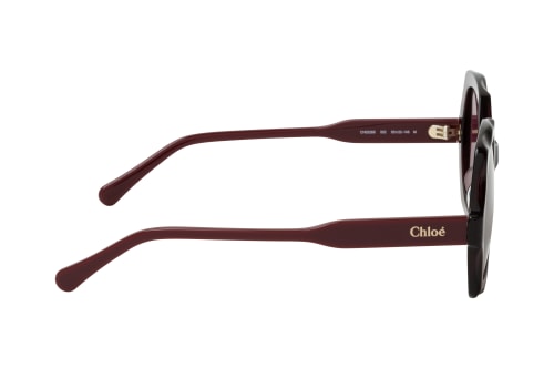 Chloé CH0226S 002