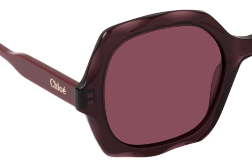 Chloé CH0226S 002