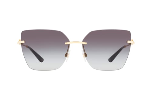 Dolce&Gabbana DG 2321 02/8G