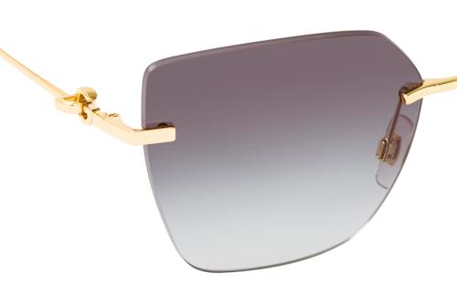 Dolce&Gabbana DG 2321 02/8G