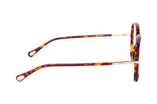 Chloé CH 0399O 002