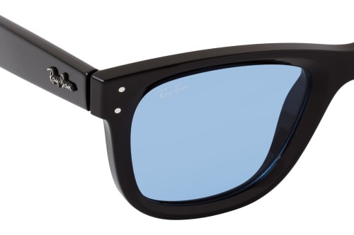 Ray-Ban RB R0502S 667772