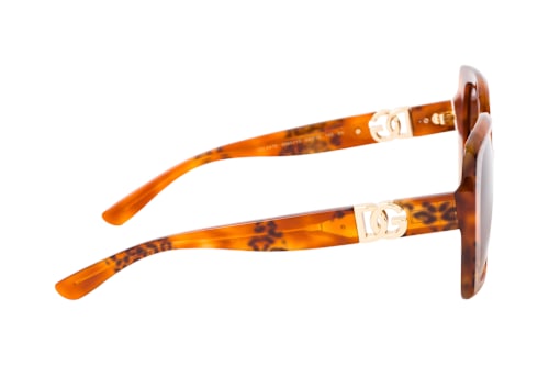 Dolce&Gabbana DG 4475 338013