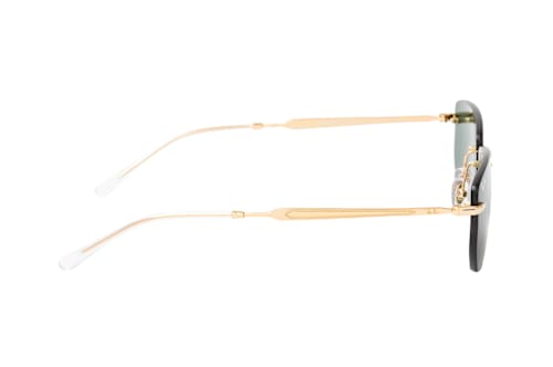 Ray-Ban RB 3768 001/71