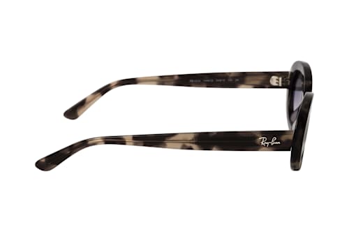 Ray-Ban RB 2223 144832