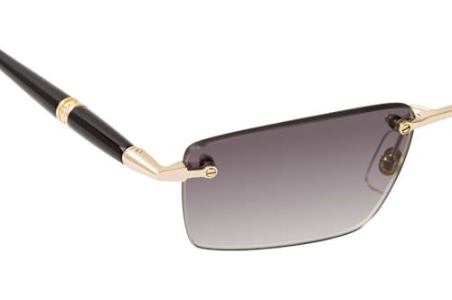 MONTBLANC MB 0484S 001