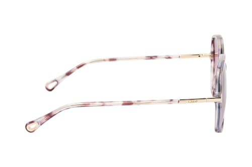 Chloé CH 0396S 004