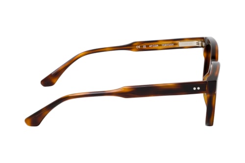 Chimi 02.3 Tortoise