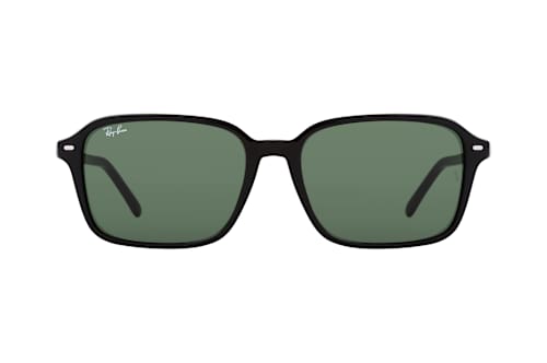 Ray-Ban RB 2231 901/31