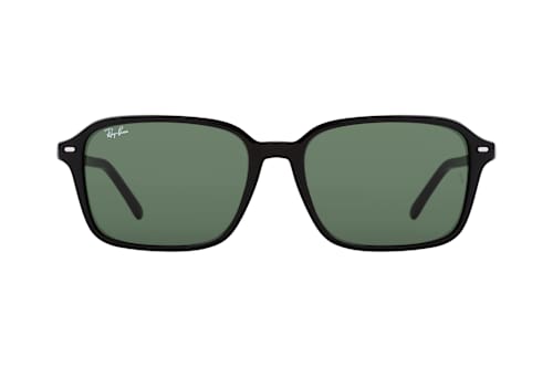 Ray-Ban RB 2231 901/31