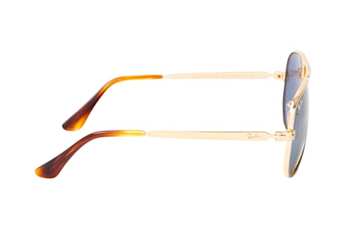 Ray-Ban RB 3925 001/R5