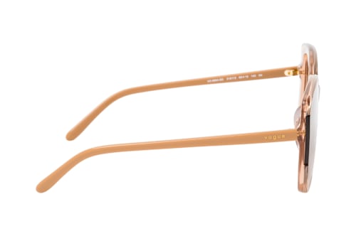 VOGUE Eyewear VO 5684SD 318113
