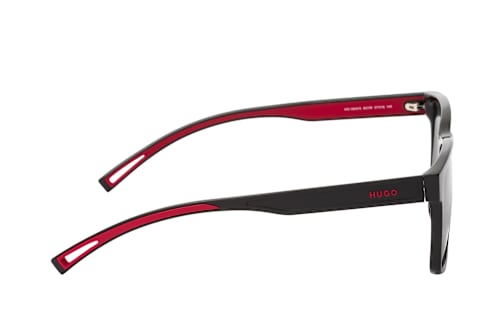 Hugo Boss HG 1369/S 807
