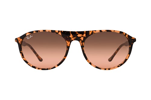 Ray-Ban RB 2215 14293B