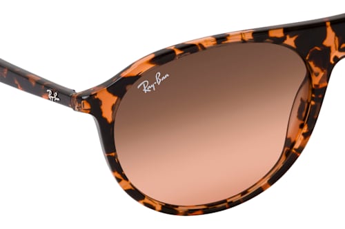 Ray-Ban RB 2215 14293B