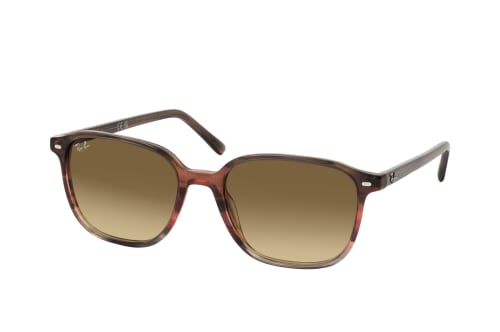 Ray-Ban RB 2193 138085