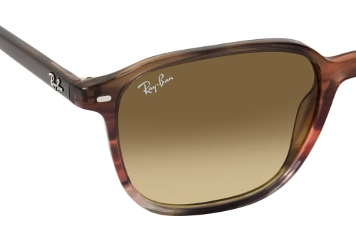 Ray-Ban RB 2193 138085