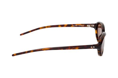 Chimi Elipse Tortoise