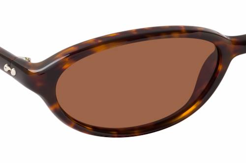 Chimi Elipse Tortoise
