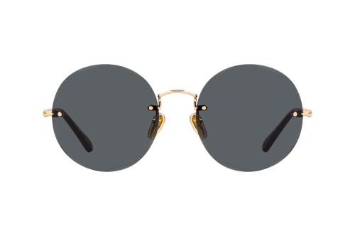 Chloé CH0254S 001
