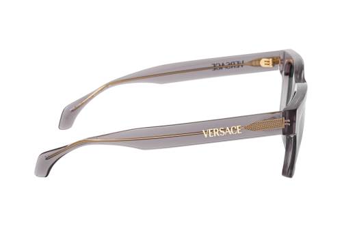 Versace VE 4486 551071