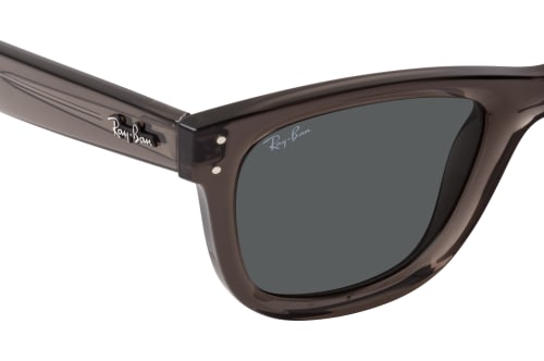 Ray-Ban Reverse RBR 0502S 6707GR