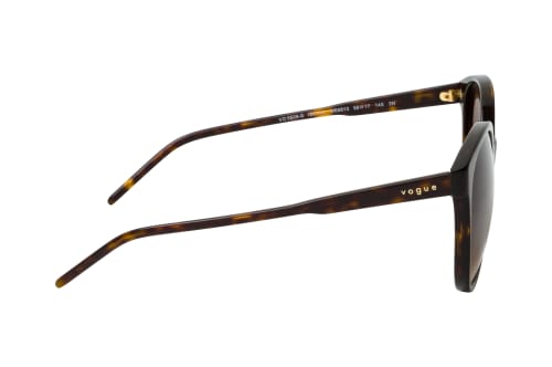 VOGUE Eyewear VO 5509S W65613