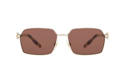 Dolce&Gabbana DG 2316 488/73