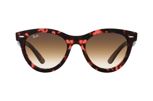 Ray-Ban RB 2241 133451