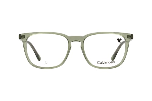 Calvin Klein CK 24519 300