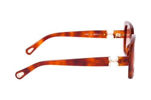 Chloé CH 0333S 003