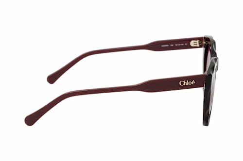 Chloé CH 0295S 002