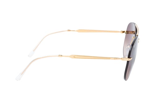 Ray-Ban RB 3791 001/13