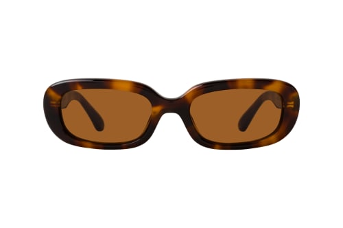 Chimi 12 Tortoise