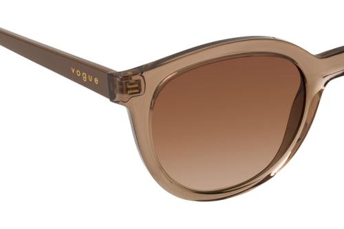 VOGUE Eyewear VO 5427S 294013