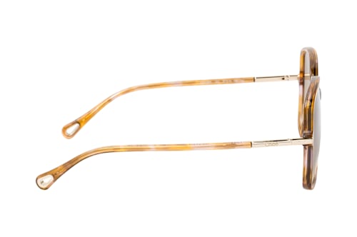 Chloé CH 0396S 003