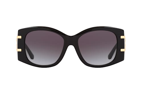 Dolce&Gabbana DG 4501 501/8G