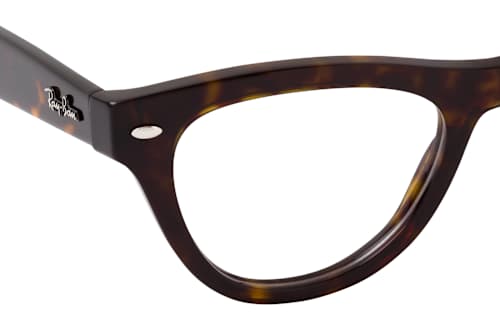 Ray-Ban RX 5510 2012