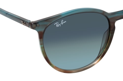 Ray-Ban 0RB2204 1394GK